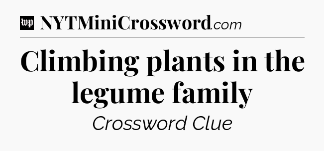 Climbing plants in the legume family Crossword Clue