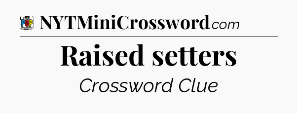 Raised setters Crossword Clue