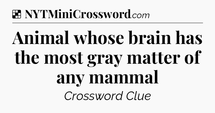 Solution: Animal whose brain has the most gray matter of any mammal - NYT Crossword