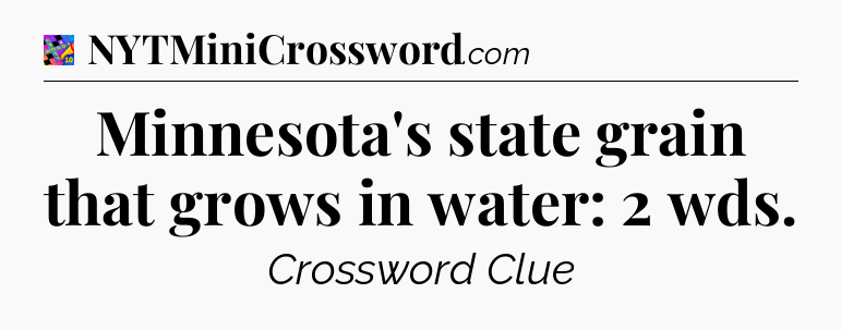 Minnesota's state grain that grows in water: 2 wds Crossword Clue
