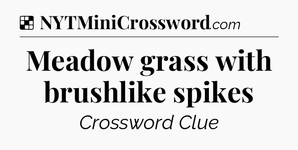 Solution: Meadow grass with brushlike spikes - NYT Crossword