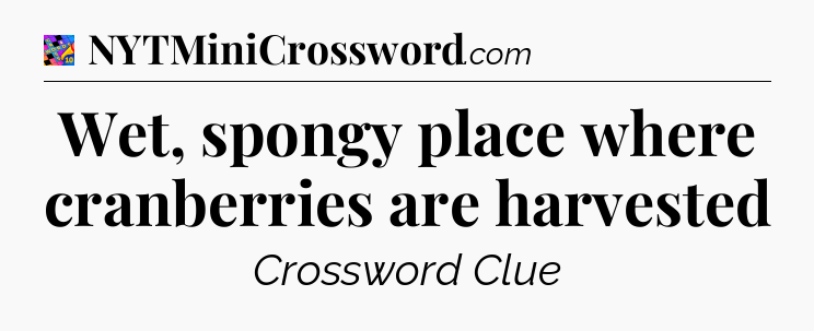 Wet, spongy place where cranberries are harvested Crossword Clue