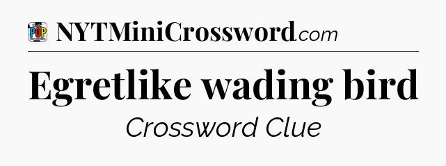 Egretlike wading bird Crossword Clue