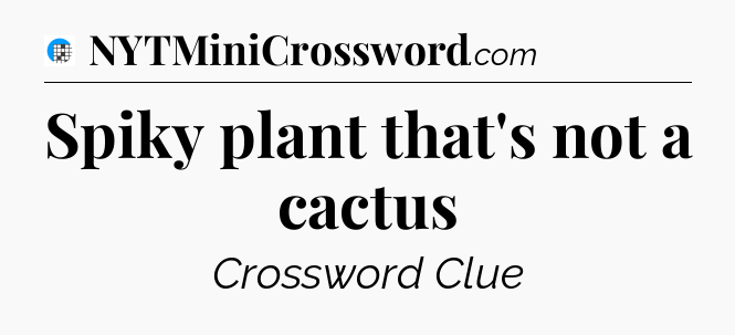 Spiky plant that's not a cactus Crossword Clue