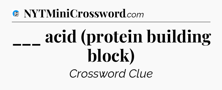___ acid (protein building block) Crossword Clue
