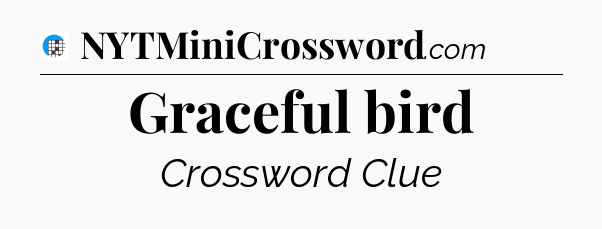 Graceful bird Crossword Clue