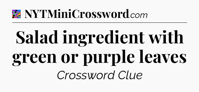 Salad ingredient with green or purple leaves Crossword Clue