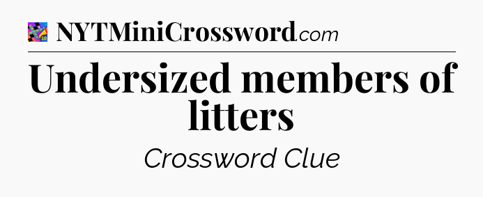Undersized members of litters Crossword Clue