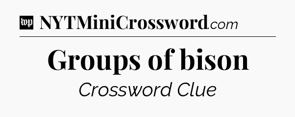Groups of bison Crossword Clue