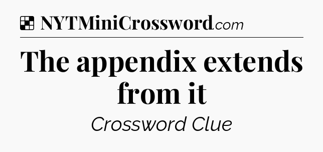 Solution: The appendix extends from it - NYT Crossword