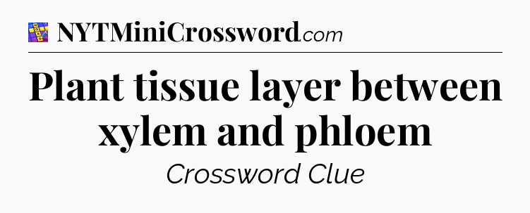 Plant tissue layer between xylem and phloem Codycross
