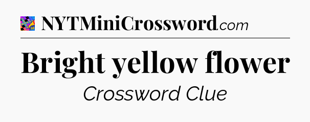Bright yellow flower Crossword Clue