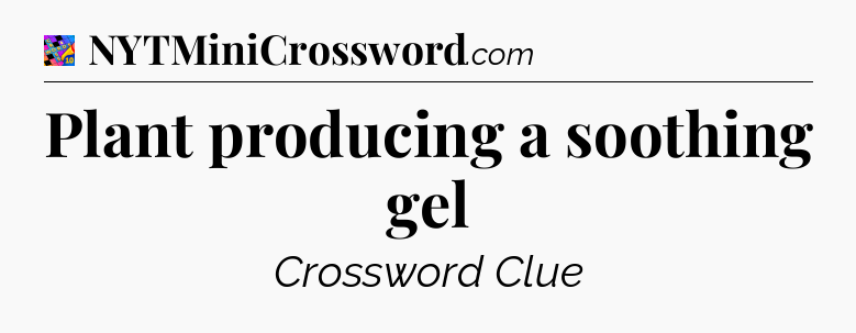 Plant producing a soothing gel Crossword Clue