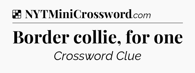 Solution: Border collie, for one - NYT Crossword