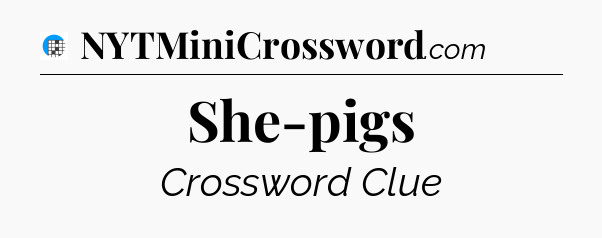 She-pigs Crossword Clue