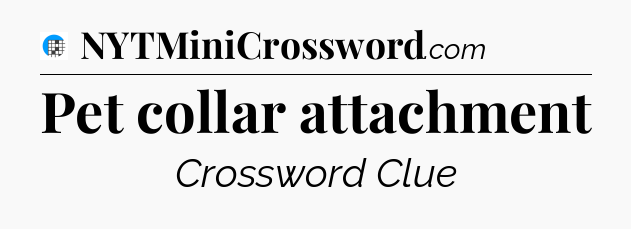 Pet collar attachment Crossword Clue
