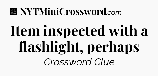 Item inspected with a flashlight, perhaps - LA Times Crossword