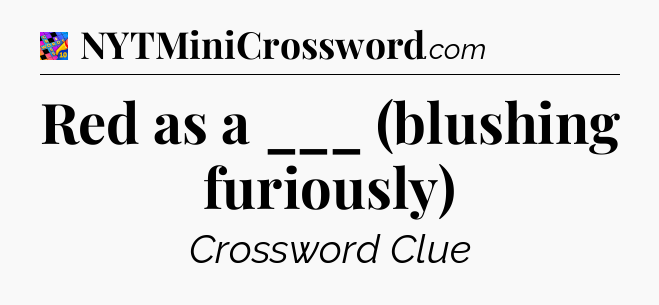 Red as a ___ (blushing furiously) Crossword Clue