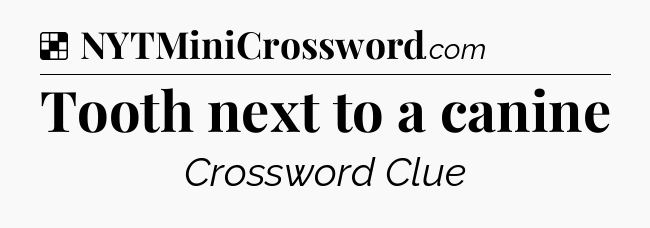 Solution: Tooth next to a canine - NYT Crossword