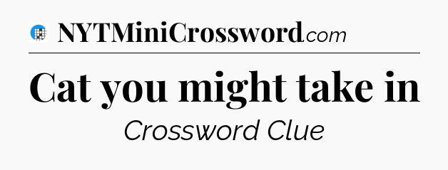 Cat you might take in Crossword Clue