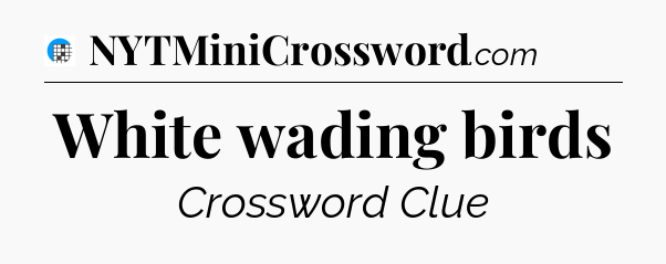 White wading birds Crossword Clue