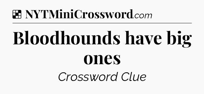 Solution: Bloodhounds have big ones - NYT Crossword