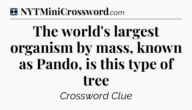 Solution: The world's largest organism by mass, known as Pando, is this type of tree - NYT Mini Crossword