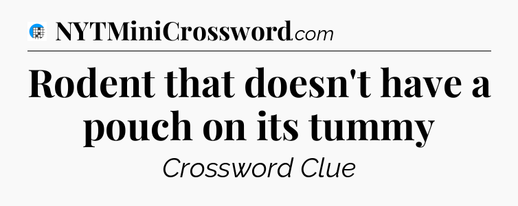 Rodent that doesn't have a pouch on its tummy Crossword Clue