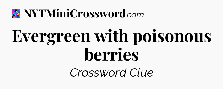 Evergreen with poisonous berries Crossword Clue
