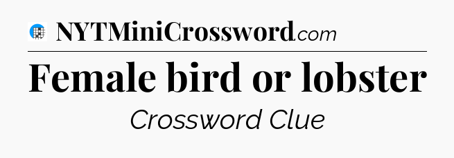 Female bird or lobster Crossword Clue