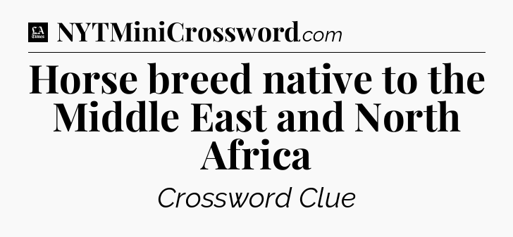Horse breed native to the Middle East and North Africa - LA Times Crossword