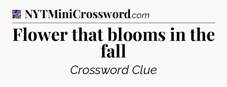Flower that blooms in the fall Crossword Clue