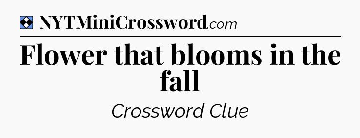 Solution: Flower that blooms in the fall - NYT Mini Crossword