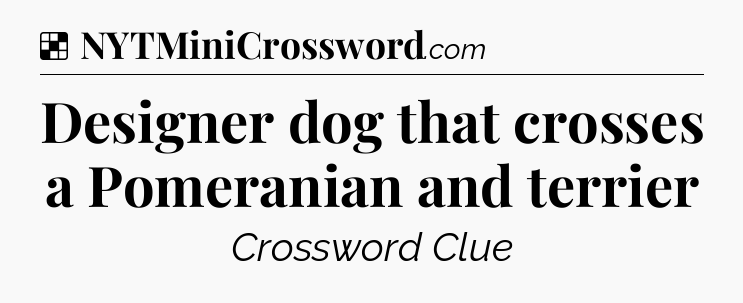 Solution: Designer dog that crosses a Pomeranian and terrier - NYT Crossword
