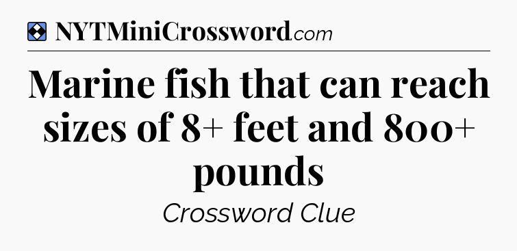 Solution: Marine fish that can reach sizes of 8+ feet and 800+ pounds - NYT Mini Crossword