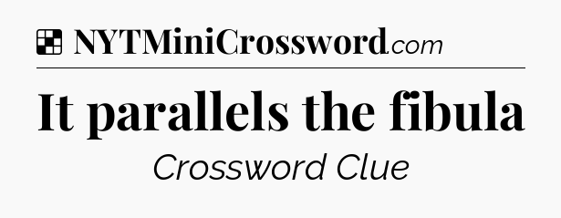 Solution: It parallels the fibula - NYT Crossword