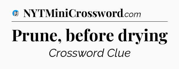 Prune, before drying Crossword Clue