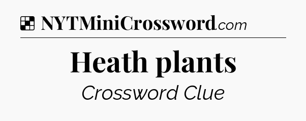 Solution: Heath plants - NYT Crossword
