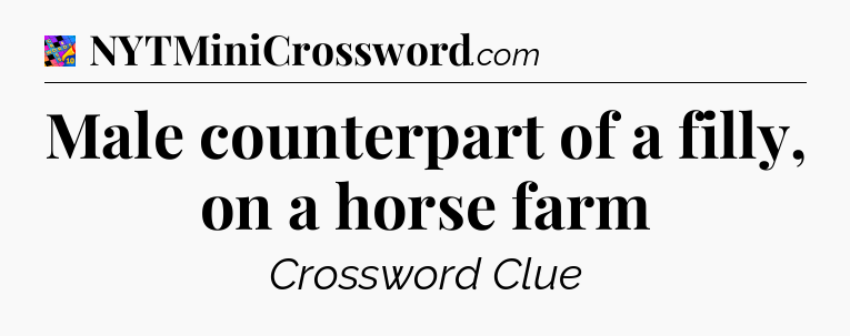 Male counterpart of a filly, on a horse farm Crossword Clue