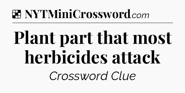 Solution: Plant part that most herbicides attack - NYT Crossword