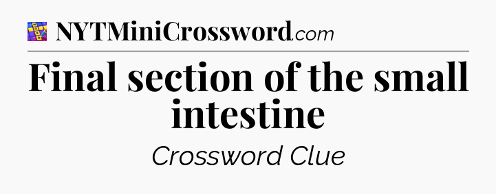 Final section of the small intestine Codycross