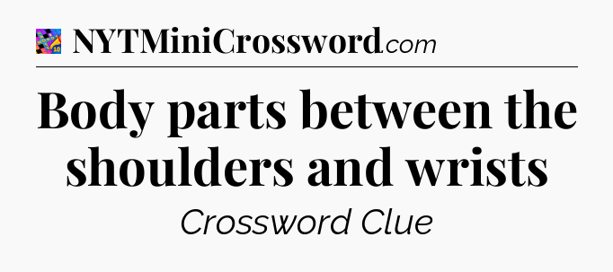 Body parts between the shoulders and wrists Crossword Clue