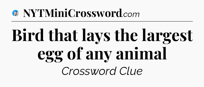 Bird that lays the largest egg of any animal Crossword Clue
