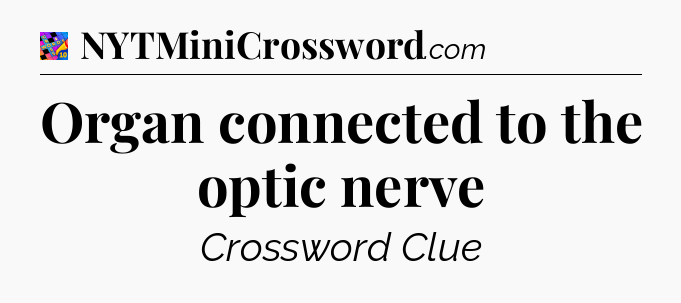 Organ connected to the optic nerve Crossword Clue