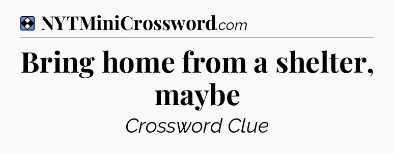Solution: Bring home from a shelter, maybe - NYT Mini Crossword