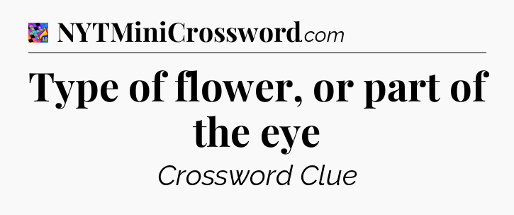 Type of flower, or part of the eye Crossword Clue