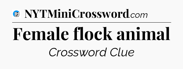 Female flock animal Crossword Clue
