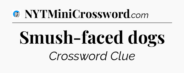 Smush-faced dogs Crossword Clue