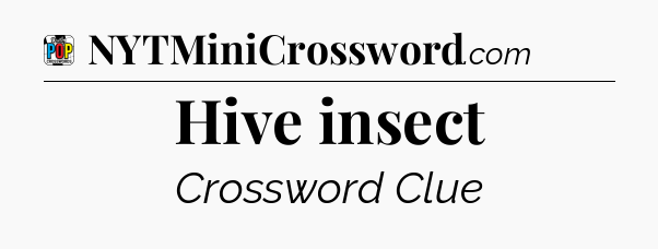Hive insect Crossword Clue