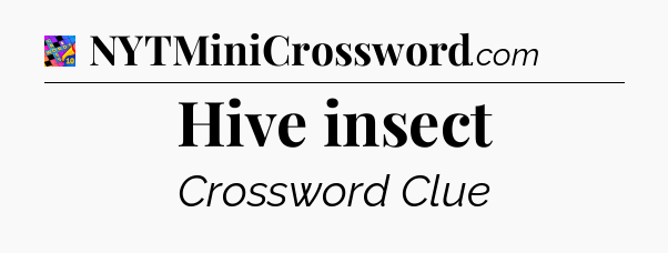 Hive insect Crossword Clue